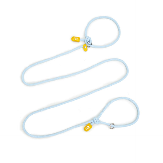 Adjustable Slip-On Dog Leashes Lightweight and Comfortable Training Leads for Pets 3.35cm*8mm (Blue, 2 pieces)